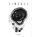 V.A. / ＬＩＮＫＡＧＥ　ＺＩＮＥ