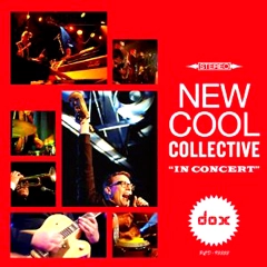 NEW COOL COLLECTIVE / ニュー・クール・コレクティヴ / イン・コンサート