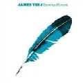 JAMES TEEJ / EVENING HARVEST