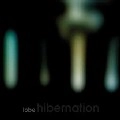 LOBE / HIBERNATION