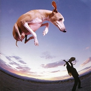 PAUL GILBERT / ポール・ギルバート / フライング・ドッグ Plus / FLYING DOG PLUS