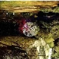 PALLADIUM(TECHNO) / ＳＯＵＮＤ　ＴＲＡＣＫ／NEO TOKYO001