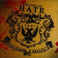 CHAINS OF HATE / チェインズ・オブ・ヘイト / COLD HARSH REALITY