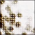V.A. (Post Rock / Electronica) / テスト・トーン・アーカイブ１
