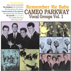 V.A. (CAMEO PARKWAY VOCAL GROUP) / REMEMBER ME BABY: CAMEO PARKWAY VOCAL GROU