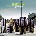 FEINDREHSTAR / VULGARIAN NIGHTS