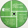 JOHN CROCKETT & STEPHEN L FEAT.HECTOR DAVILA / VIDA VERDE