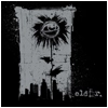 ELDER (PUNK) / エルダー / ELDER(10"+CD)