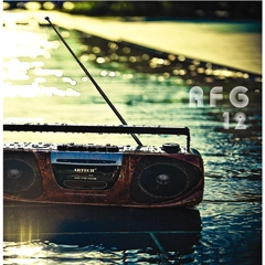 V.A. (RARE FUNKY GROOVE) / RARE FUNKY GROOVE VOL.12