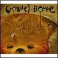 CROWDED HOUSE / クラウデッド・ハウス / INTRIGUER