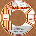 LLOYD PARKS / ＳＬＡＶＩＮＧ