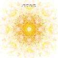 CHRISTOPHER WILLITS / クリストファー・ウィリッツ / TIGER FLOWER CIRCLE SUN