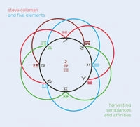 STEVE COLEMAN / スティーヴ・コールマン / HARVESTING SEMBLANCES AND AFFINITIES / HARVESTING SEMBLANCE