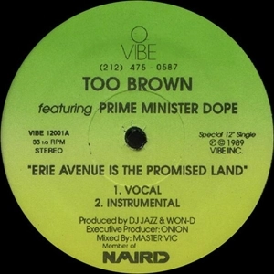 TOO BROWN / ERIE AVENUE IS THE PROMISED LAND