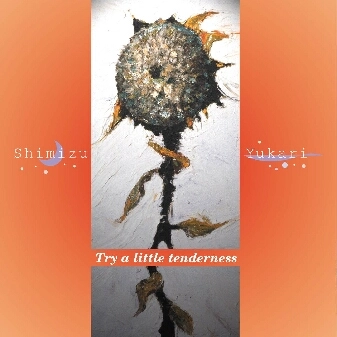 YUKARI SHIMIZU / 清水ゆかり / TRY A LITTLE TENDERNESS