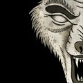 HASTE THE DAY / ATTACK OF THE WOLF <SPECIAL EDITION>+DVDD