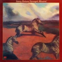 SONNY FORTUNE / ソニー・フォーチュン / SERENGETI MINSTREL