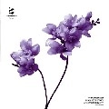 TECHNASIA / テクネイジア / FORCE