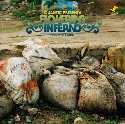 QUANTIC PRESENTA FLOWERING INFERNO / クアンティック・プレセンタ・フローワリング・インフェルノ / DOG WITH A ROPE(LP+7")