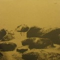 DON WILLIAMS(CLUB) / DYNAMIC RAIN