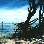 MATTHEW ANDERSON / MERCILESS OCEAN