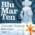 BLU MAR TEN / NATURAL HISTORY REMIXES PART 1