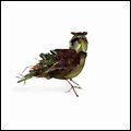 TALLEST TREES / OSTRICH OR THE LARK