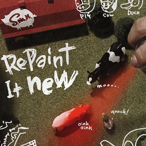 S.M.N. / Repaint It New