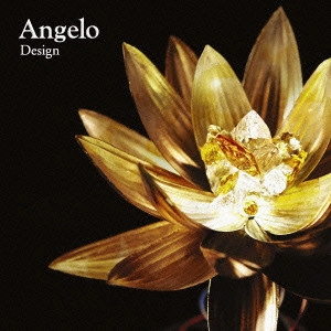 ANGERO / Design