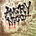ANGRY NERD / アングリーナード / FOREVER YOUNG