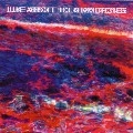 LUKE ABBOTT / ルーク・アボット / HOLKHAM DRONES
