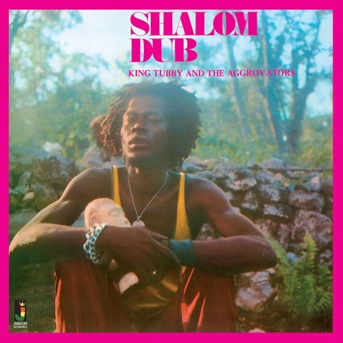 KING TUBBY AND THE AGGROVATORS / キング・タビー・アンド・ザ・アグロベーターズ  / SHALOM DUB