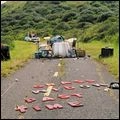 GRASS WIDOW / グラス・ウィドウ / パスト・タイム