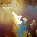 RANDOM MOVEMENT / LUCKY GUESS ALBUM SAMPLER PART 1