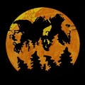 ASTEROID / II