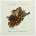 MT. ST. HELENS VIETNAM BAND / WHERE THE MESSENGERS MEET
