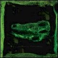 AVEY TARE / エイヴィ・テア / ダウン･ゼア