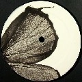 WALT J / REBORN(DJ QU REMIX)