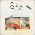 ANTONY & THE JOHNSONS / アントニー&ザ・ジョンソンズ / SWANLIGHTS(LP)