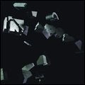 INTERPOL / インターポール / INTERPOL