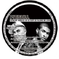 PITBULL / ピットブル / ULTIMATE REMIXES OF DJ GOT US FALLING IN L