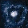 SWANS / スワンズ / MY FATHER WILL GUIDE ME
