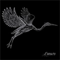 LVMEN / HERON