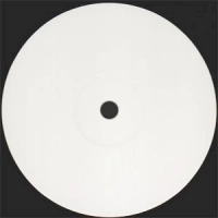 AARDVARCK / BLOOM 04