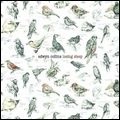 EDWYN COLLINS / エドウィン・コリンズ / LOSING SLEEP