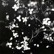 KETTENKARUSSELL / THINGS WILL NEVER FLANGE