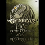 GALNERYUS / ガルネリウス / ＬＩＶＥ　ＩＮ　ＴＨＥ　ＭＯＭ