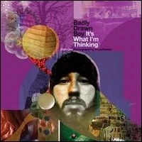 BADLY DRAWN BOY / バッドリー・ドローン・ボーイ / IT'S WHAT I'M THINKING