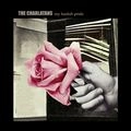 CHARLATANS (UK) / シャーラタンズ (UK) / MY FOOLISH PRIDE