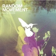 RANDOM MOVEMENT / Lucky Guess